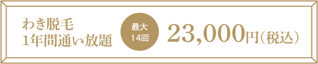 わき脱毛1年間通い放題 最大14回 23,000円（税込）