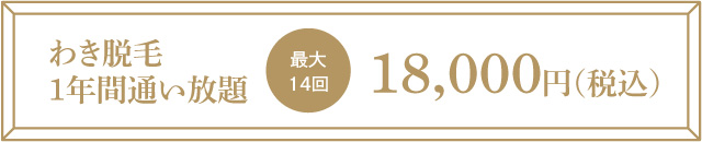 わき脱毛1年間通い放題 最大14回 18,000円（税込）